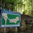 장태산자연휴양림 캠핑장 이미지