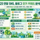 웰니스펫뷰티 | 2025 연말 SNS, 블로그 인기 키워드 분석! 네이버 Data Lab 활용 초완벽 가이드, 트렌드 예측