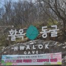레푸스 성남태평점
