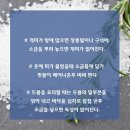 청소특공대 이미지