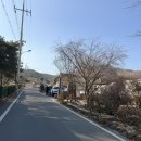 꽃향기정원 | 아직 많이 알려지지 않은, 사진보다 실제가 더 좋았던 경주정원카페 사유적정원 재방문 후기