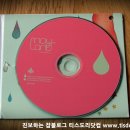 메이랜드(Mayland)