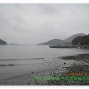 대부산민박 Daum카페