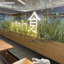 면식당(食) 이미지