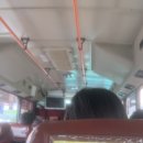 루지민박 이미지