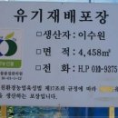 죽장면 참느리 이미지