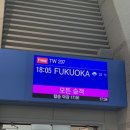 차와 함께 일상으로의 여행 | 후쿠오카 여행, 일상처럼 여유로운 2박 3일 혼여 후기