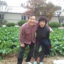 인호농장 이미지