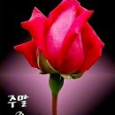 시청공원 이미지