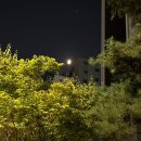 신강세탁 이미지