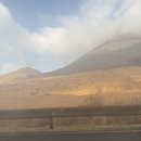 사기리 목장 이미지