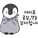 재래식순두부