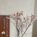 초민의원 이미지