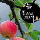 여행클럽 - 수원시 영통구 | 여행클럽