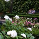 아롱다롱 펫택시 | 마드리드 | 소로야 미술관 Museo Sorolla , 택시를 타는 저마다의 방법