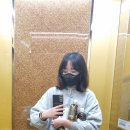 혜담약국 | 챔필네컷 / 홈 개막전 패요 / 기아타이거즈 팬북 / 백소정 / 유쿠키숍 / 또크림라떼 / 인후염 / 본죽...