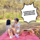 피크닉109 이미지