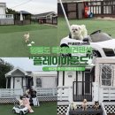 플레이하운드 이미지