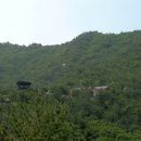 숲속의바다 바다동 이미지