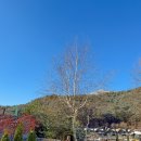 아트만하우스 이미지