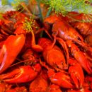 강릉신일서비스 | 신일전자 서비스센터 위치, AS 연락처 확인