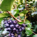 부경농장 이미지