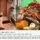 추억토스트 이미지