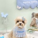 하떼하떼 이미지