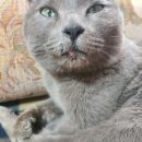 아람동물병원 이미지