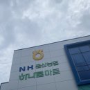 일요일 휴무 없는 대형 마트, 농협 하나로마트