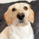 사무실용 건축물(1329-10) | W.10 웨딩밴드 투어 #2 | 코이누르 웨딩밴드 계약 후기