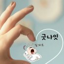 굿나이
