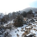 2014 한라산(1,950m) 성판악-관음사 코스 (3) 이미지