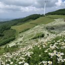 육백마지기 이미지