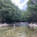 페리카나(함양 서상점) 이미지