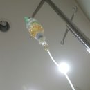 맘모스의원 이미지