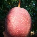 남부농장 이미지