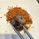 미각짬뽕24시 | 성수역양꼬치 맛집 미각짬뽕양꼬치 커플세트 해물짬뽕탕 찐만족 후기