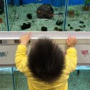 정문호내과 의원 이미지