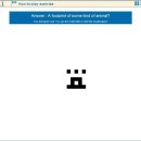 네모네모 이미지