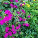 항호마을 입구 이미지