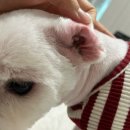 몽몽솔솔 이미지