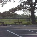 제이디공인중개사사무소 이미지