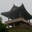 새보문식당 이미지
