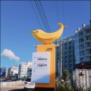 고집돌우럭함덕점 이미지