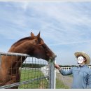 아띠목장 이미지