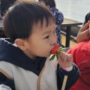 처인농장 | ｜용인 처인구｜ 아기랑 딸기농장, 동물 먹이체험, 모래놀이 후기｜포레스트벨｜