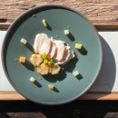 소노펫 보딩 이미지