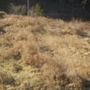 남해-271 이미지