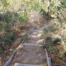 튤립공원 이미지